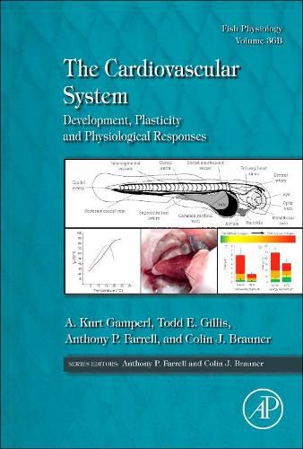 Cover image for The Cardiovascular System: Development, Plasticity and Physiological Responses