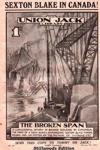 Cover image for The Broken Span