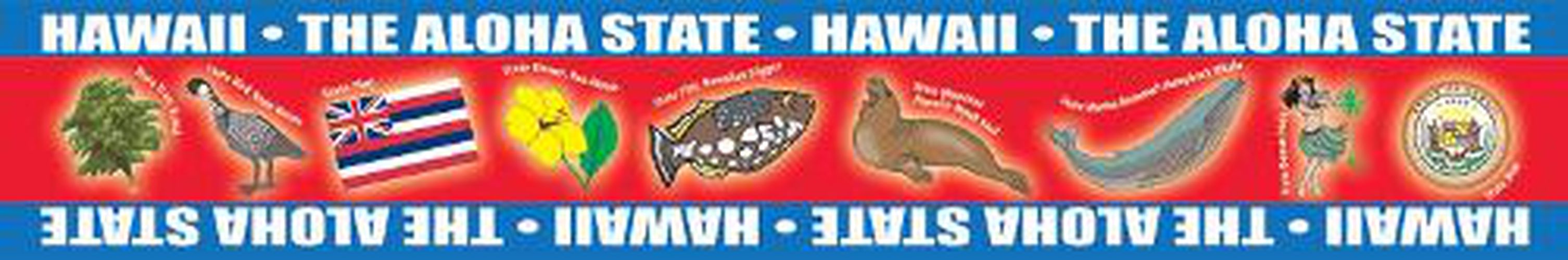 Cover image for Hawaii Borders for Bulletin Boards