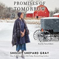 Cover image for Promises of Tomorrow