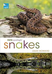 Cover image for RSPB Spotlight Snakes