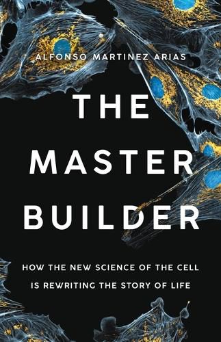 Cover image for The Master Builder