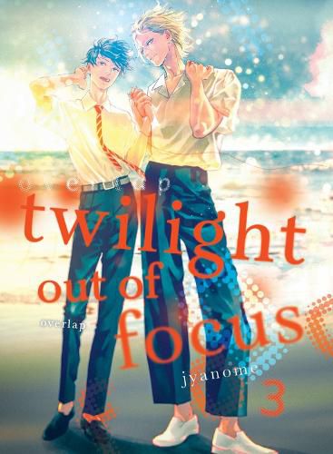 Cover image for Twilight Out of Focus 3: Overlap