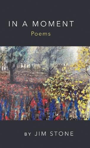 Cover image for In a Moment, Poems