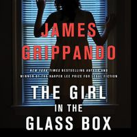 Cover image for The Girl in the Glass Box Lib/E: A Jack Swyteck Novel