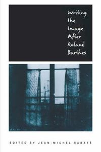 Cover image for Writing the Image After Roland Barthes