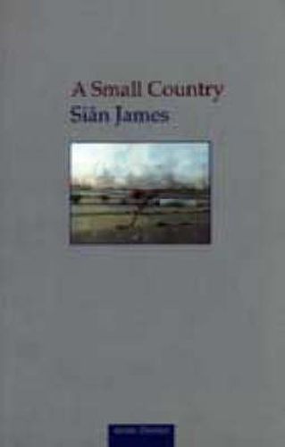 Cover image for A Small Country