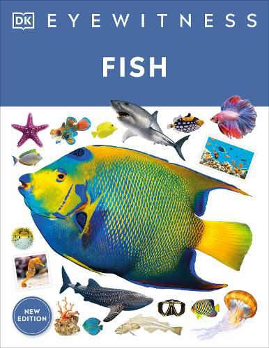 Cover image for Fish