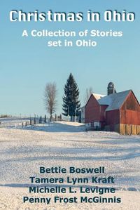 Cover image for Christmas In Ohio