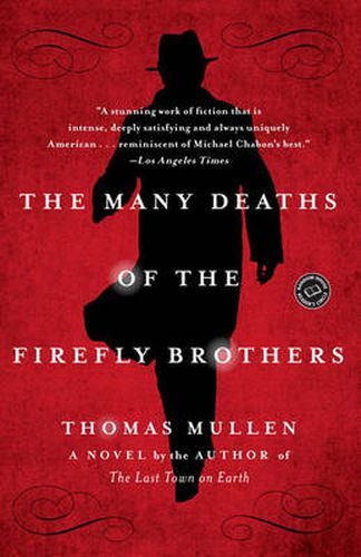 Cover image for The Many Deaths of the Firefly Brothers: A Novel