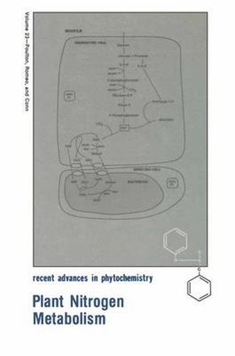 Plant Nitrogen Metabolism