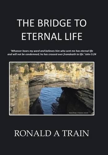 Cover image for The Bridge to Eternal Life