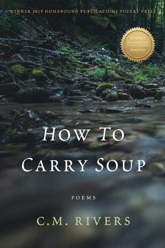 Cover image for How to Carry Soup