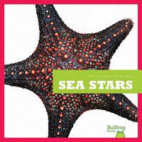 Cover image for Life Under the Sea: Sea Stars