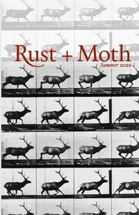 Cover image for Rust and Moth