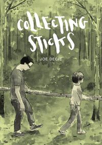 Cover image for Collecting Sticks