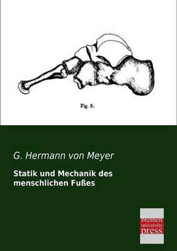 Cover image for Statik Und Mechanik Des Menschlichen Fusses
