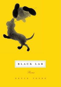 Cover image for Black Lab
