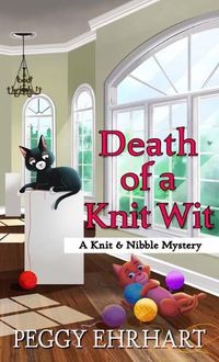 Cover image for Death of a Knit Wit