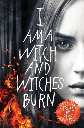 Cover image for Trial By Fire