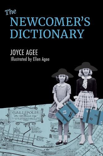 Cover image for The Newcomer's Dictionary