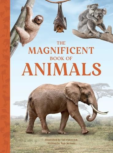 Cover image for The Magnificent Book of Animals