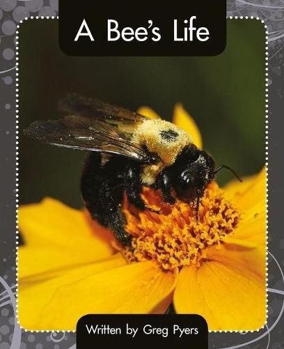 Cover image for A Bee's Life