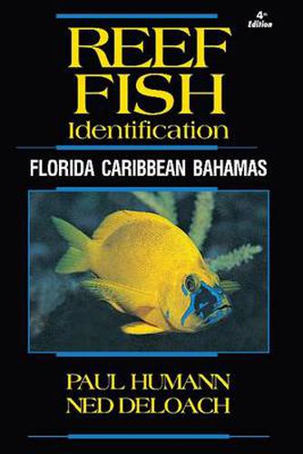 Cover image for Reef Fish Identification: Florida Caribbean Bahamas