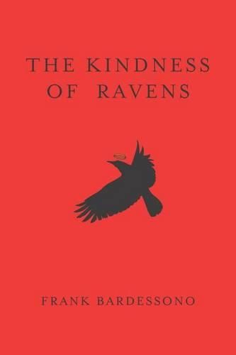 Cover image for The Kindness Of Ravens