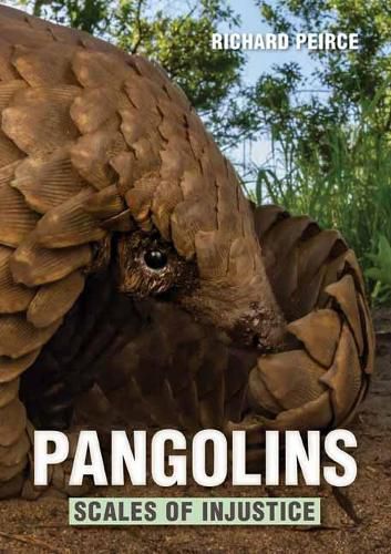 Cover image for Pangolins: Scales of Injustice