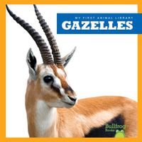 Cover image for Gazelles