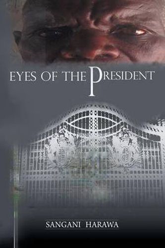 Cover image for Eyes of the President