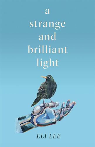 Cover image for A Strange and Brilliant Light: Winner of the Writers' Guild Best First Novel Award