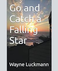 Cover image for Go and Catch a Falling Star