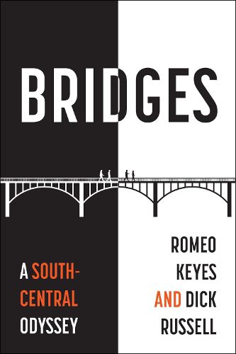 Cover image for Bridges
