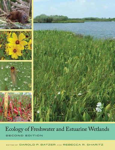 Cover image for Ecology of Freshwater and Estuarine Wetlands