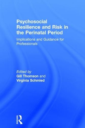Cover image for Psychosocial Resilience and Risk in the Perinatal Period: Implications and Guidance for Professionals