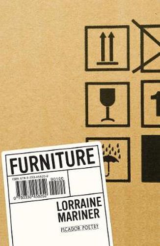 Cover image for Furniture