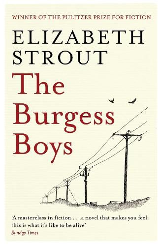 Cover image for The Burgess Boys