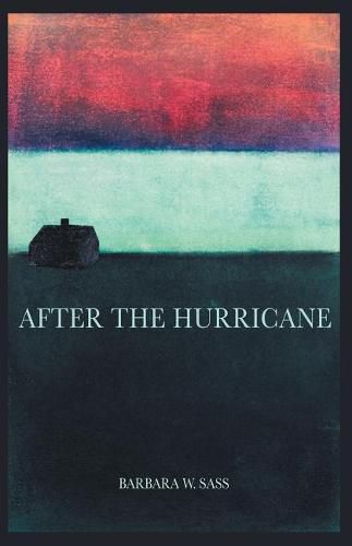 Cover image for After the Hurricane