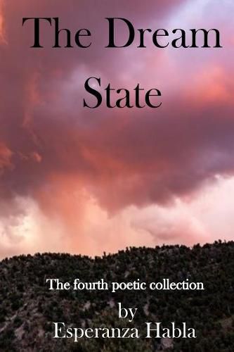 Cover image for The Dream State: The fourth poetic collection