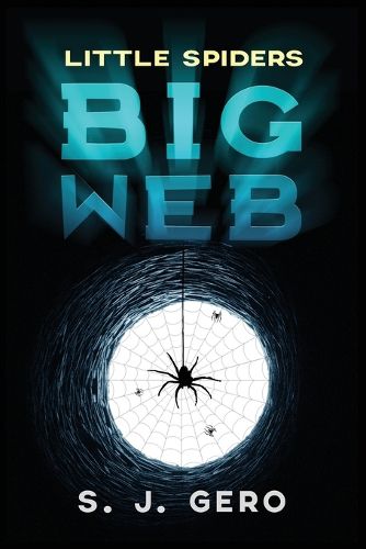 Cover image for Little Spiders Big Web