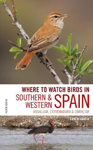 Cover image for Where to Watch Birds in Southern and Western Spain: Andalucia, Extremadura and Gibraltar