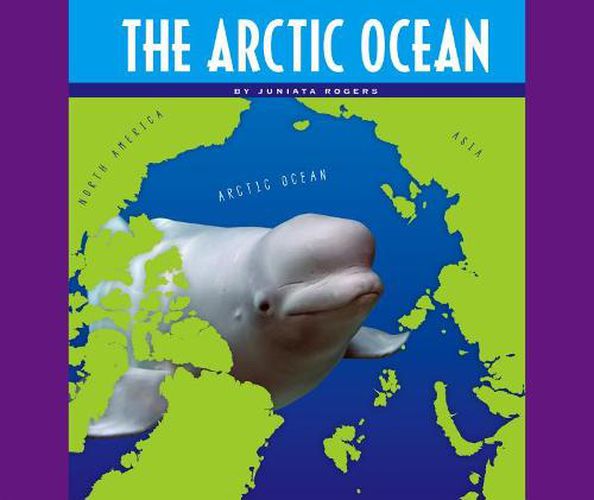 Cover image for The Arctic Ocean