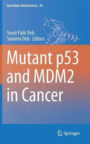 Cover image for Mutant p53 and MDM2 in Cancer