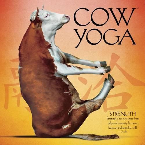 Cover image for Cow Yoga