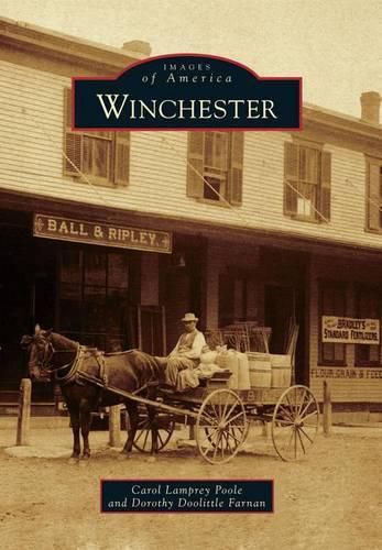 Cover image for Winchester