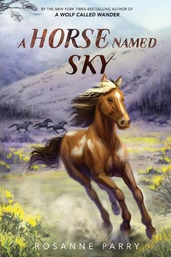 Cover image for A Horse Named Sky