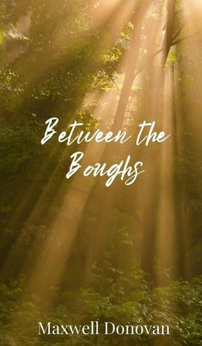 Cover image for Between the Boughs