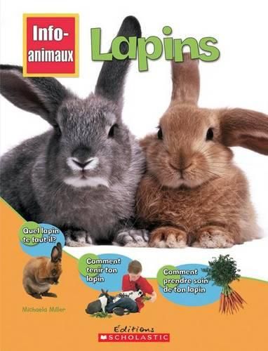 Cover image for Info-Animaux: Lapins